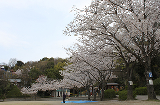 東平尾公園